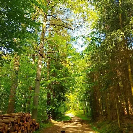 Eversberg Meschede Exterior foto