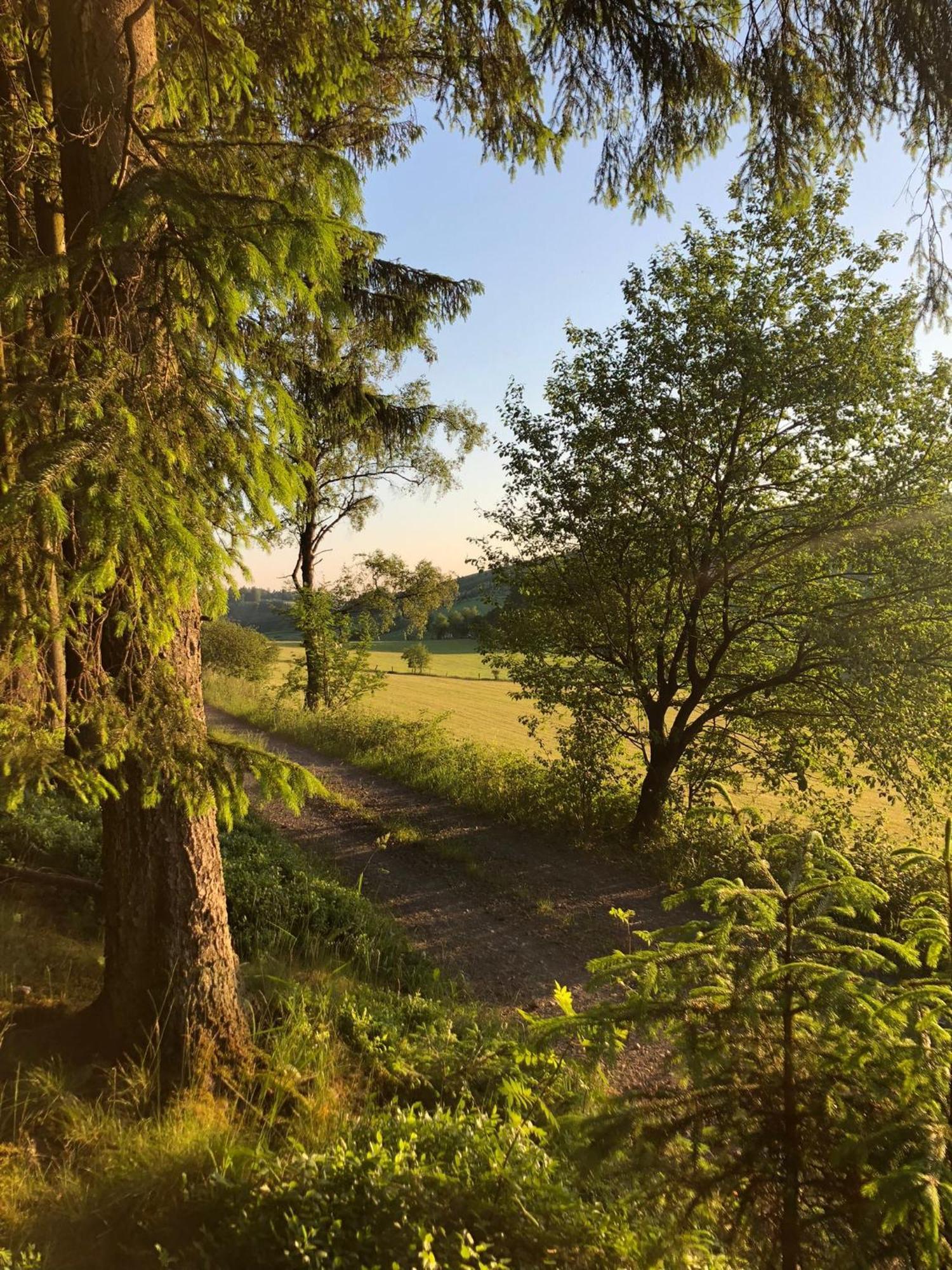 In Meschede-eversberg Naehe Winterberg Skiliftkarussell Apartamento Meschede