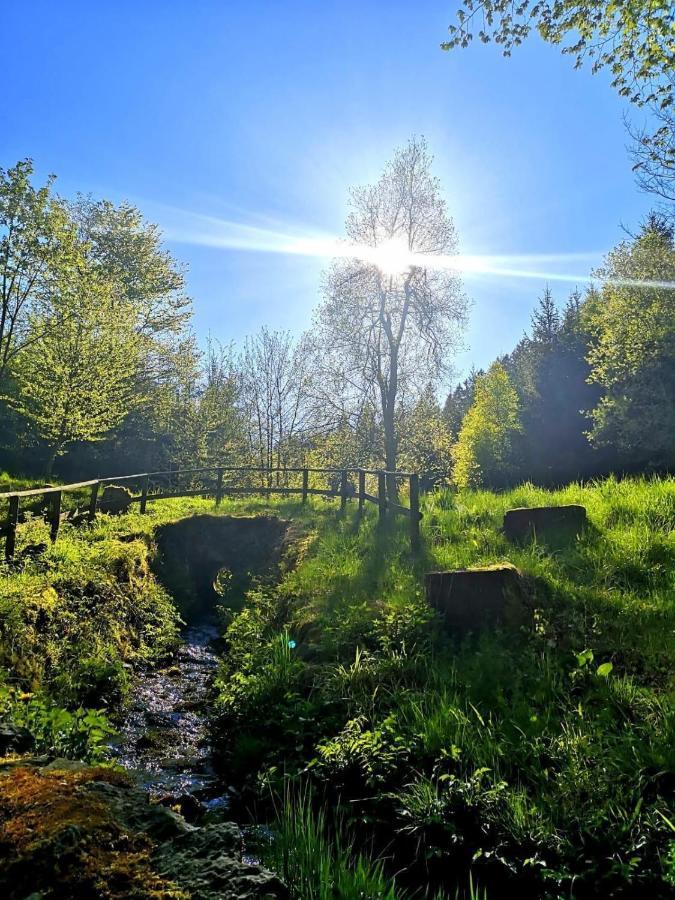 Apartamento In Meschede-eversberg Naehe Winterberg Skiliftkarussell *